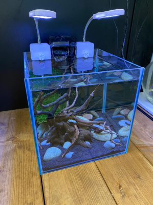 Готовый аквариумный набор 20 литров с оформлением и оборудованием